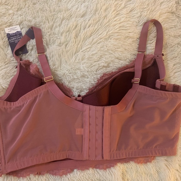 Cacique 42DDD Pink Lace Bra NWT French Balconette - Picture 4 of 4